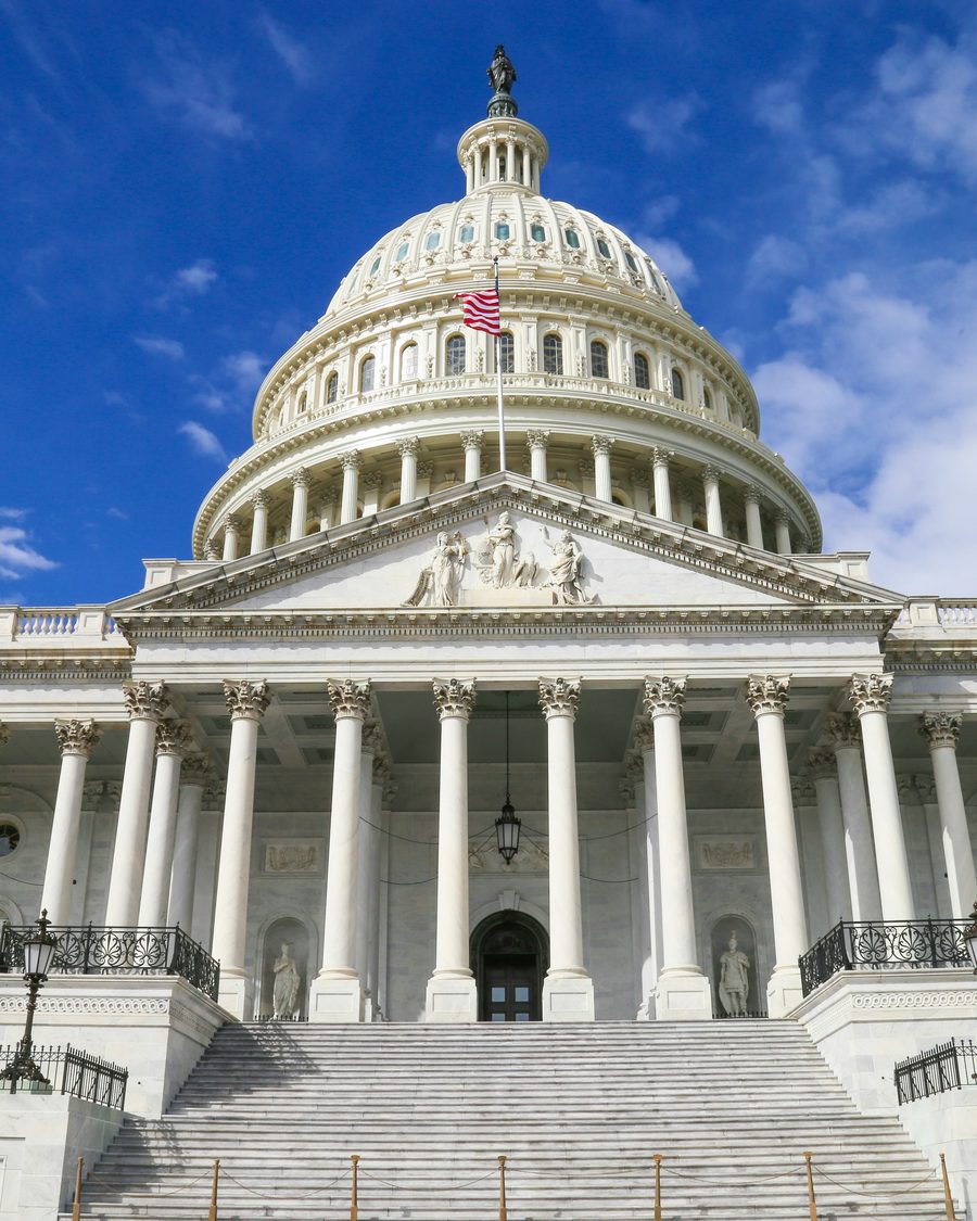 The US Capitol in Washington DC